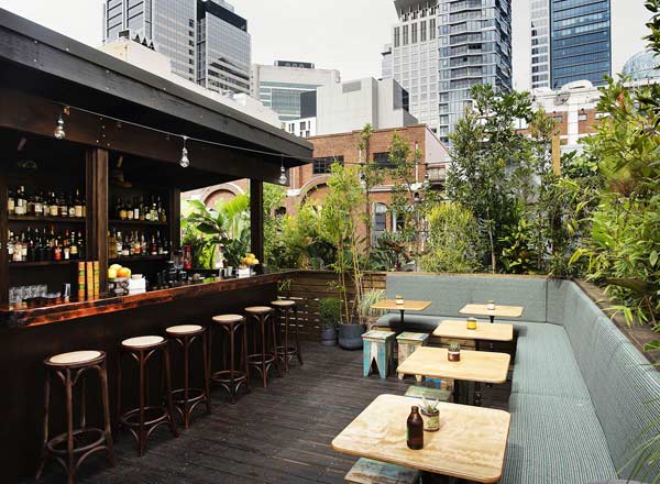 屋顶酒吧老伴侣在悉尼的地方